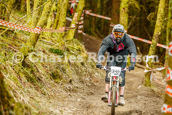 20100411_0202_crobertson