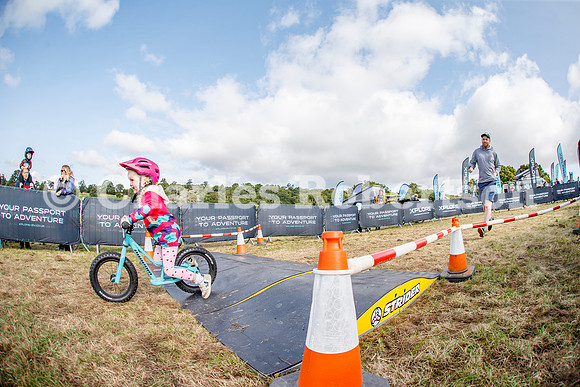 20240823_0451_crobertson