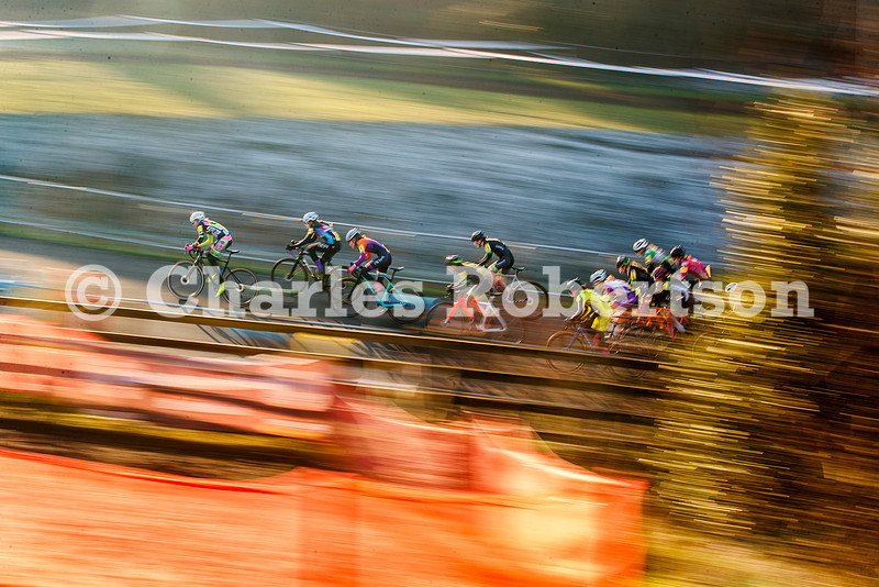 20250111_2524_crobertson
