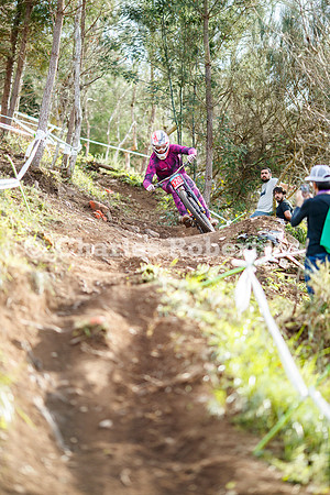 20240317_2247_crobertson