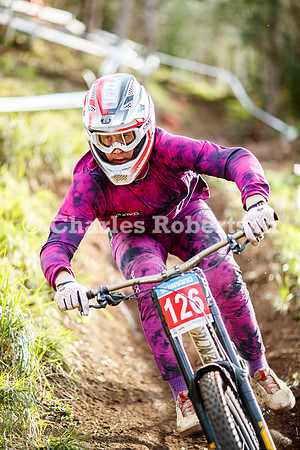 20240317_2254_crobertson