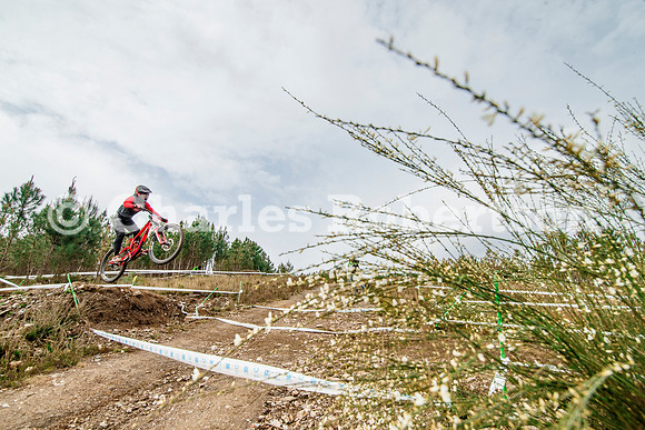 20240316_1249_crobertson