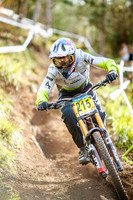 20240317_2039_crobertson