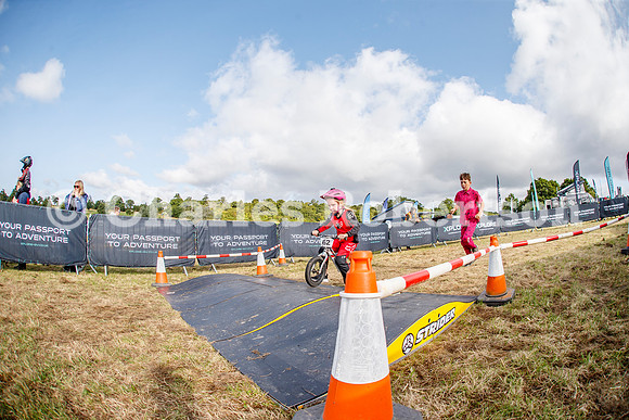 20240823_0411_crobertson