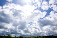 20230511_1060_crobertson