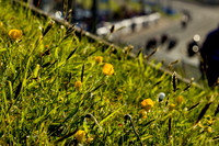 20230511_3672_crobertson
