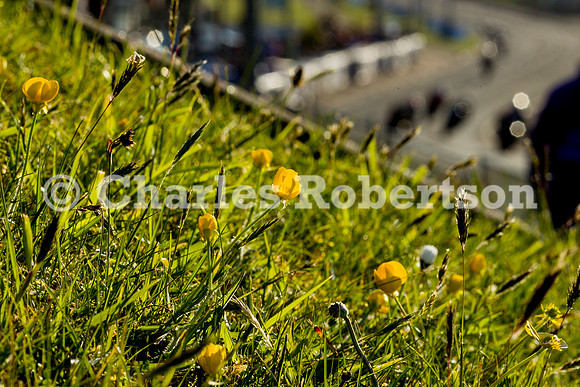 20230511_3672_crobertson