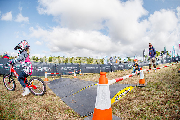 20240823_0513_crobertson
