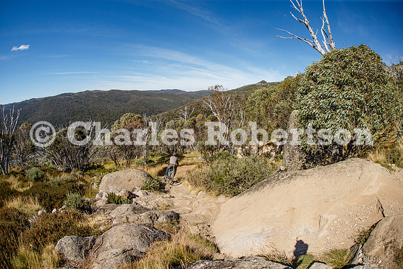 20250212_0028_crobertson