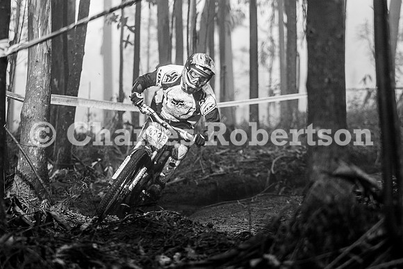 20100320_0247_crobertson