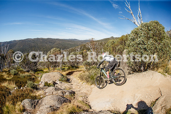 20250212_0014_crobertson