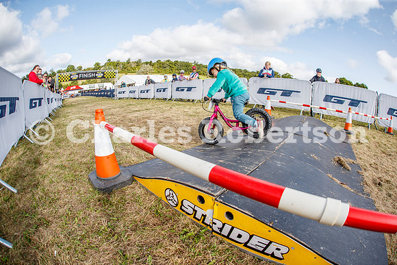 20240823_0572_crobertson