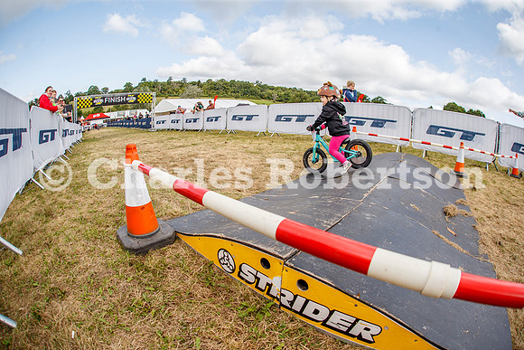 20240823_0639_crobertson