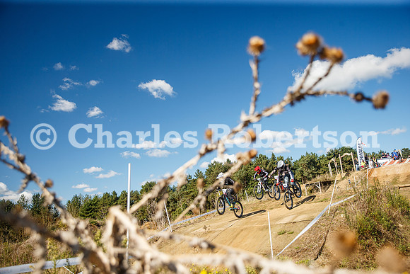 20240928_0426_crobertson
