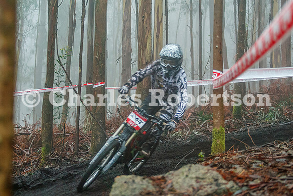20100320_0290_crobertson