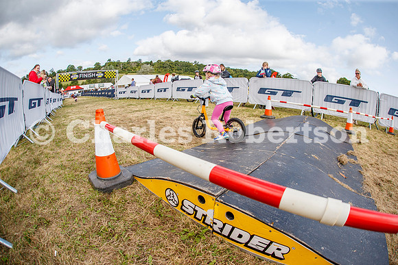 20240823_0623_crobertson