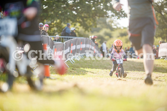 20240823_0015_crobertson