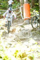 20250615_0771_crobertson