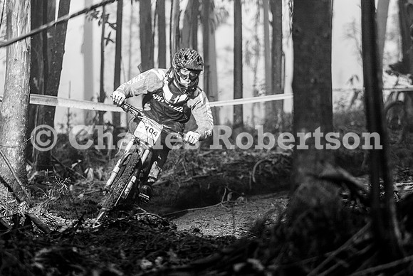 20100320_0255_crobertson
