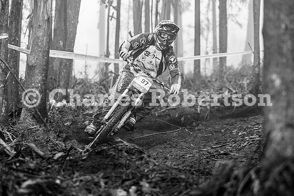 20100320_0265_crobertson