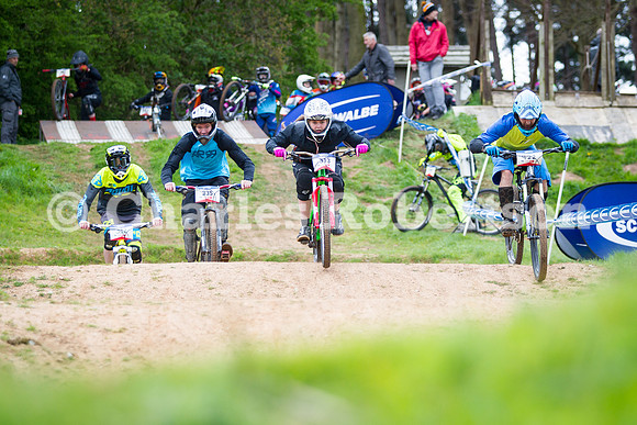 20170416_0330_crobertson