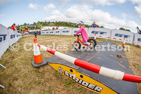 20240823_0643_crobertson
