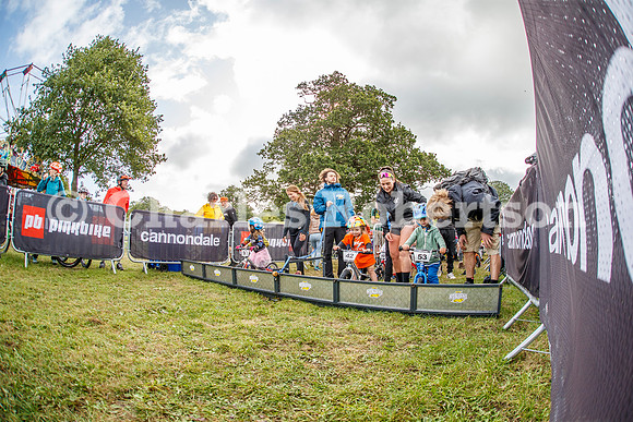 20240823_0221_crobertson