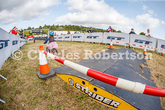 20240823_0618_crobertson
