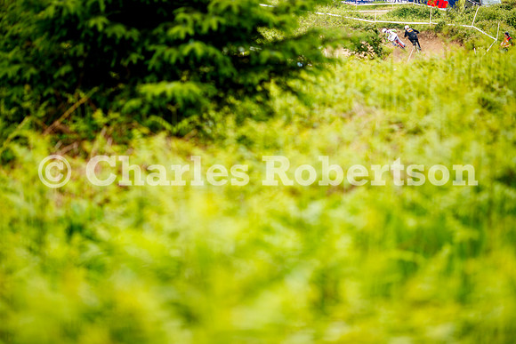 20240601_1065_crobertson