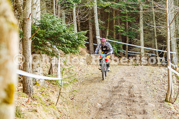 20100221_0037_crobertson