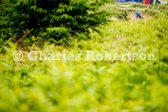 20240601_1046_crobertson