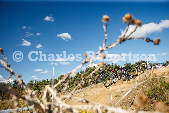 20240928_0425_crobertson