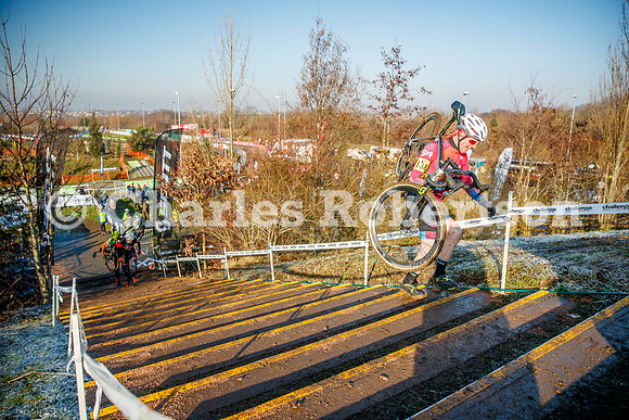 20250111_1208_crobertson