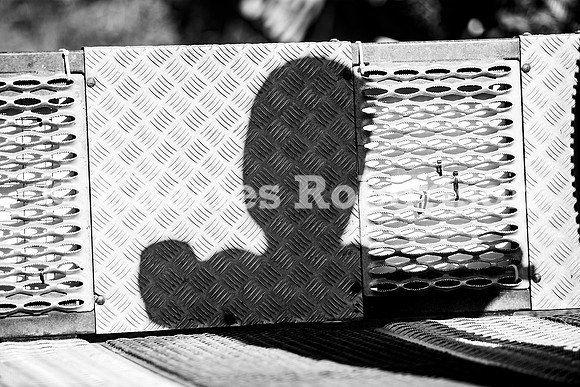 20240602_0041_crobertson