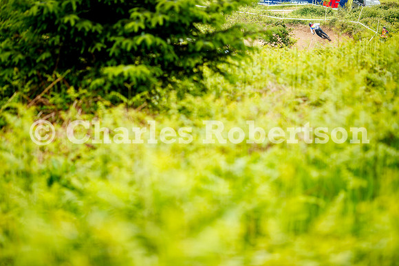 20240601_1122_crobertson