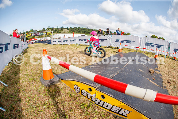 20240823_0653_crobertson