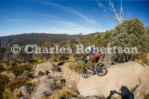 20250212_0015_crobertson