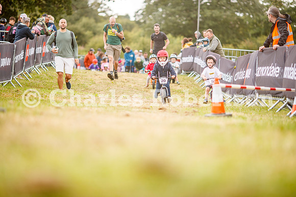 20240823_0243_crobertson