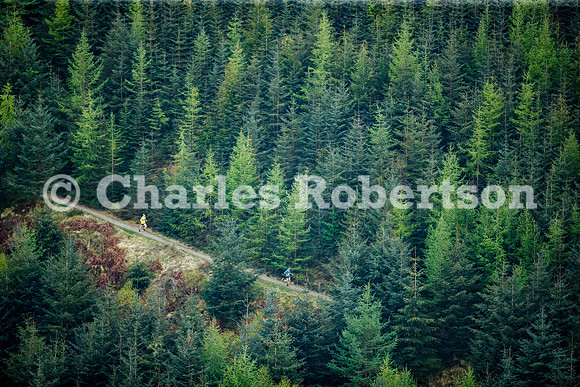 20250430_0007_crobertson