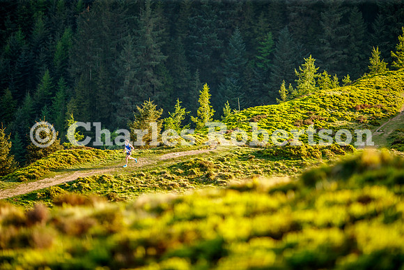20250430_0011_crobertson
