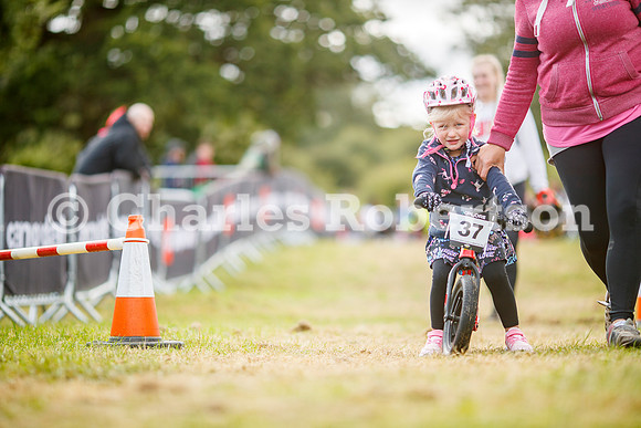 20240823_0207_crobertson