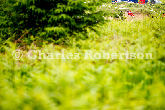 20240601_1103_crobertson