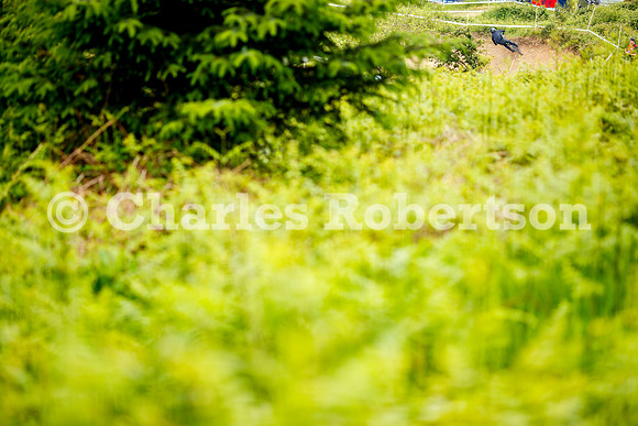 20240601_1121_crobertson