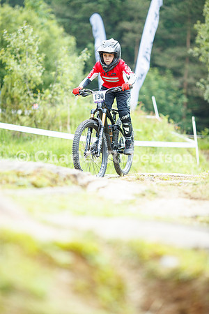 20240601_0225_crobertson