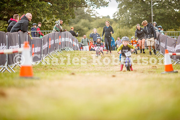 20240823_0232_crobertson