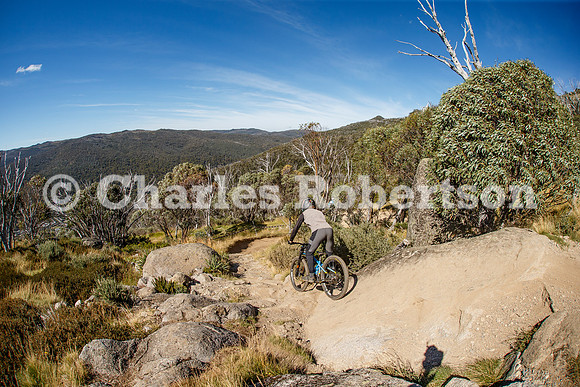 20250212_0026_crobertson