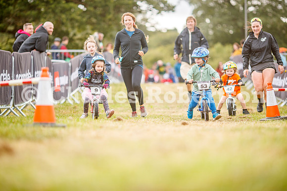 20240823_0237_crobertson