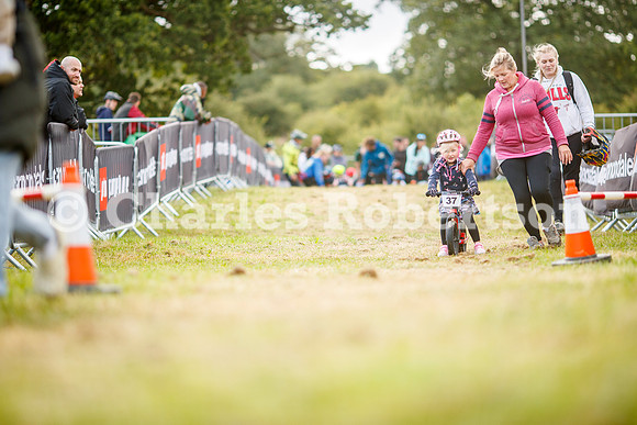 20240823_0204_crobertson