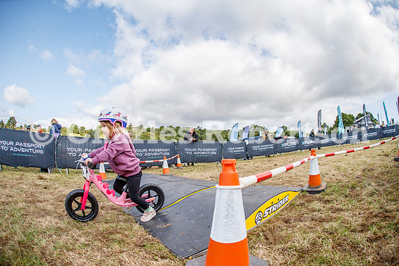 20240823_0320_crobertson