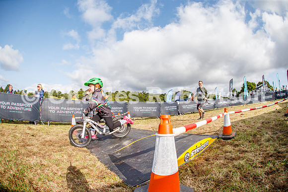 20240823_0331_crobertson
